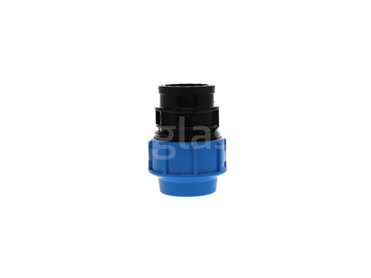 516e82fd4589.jpg