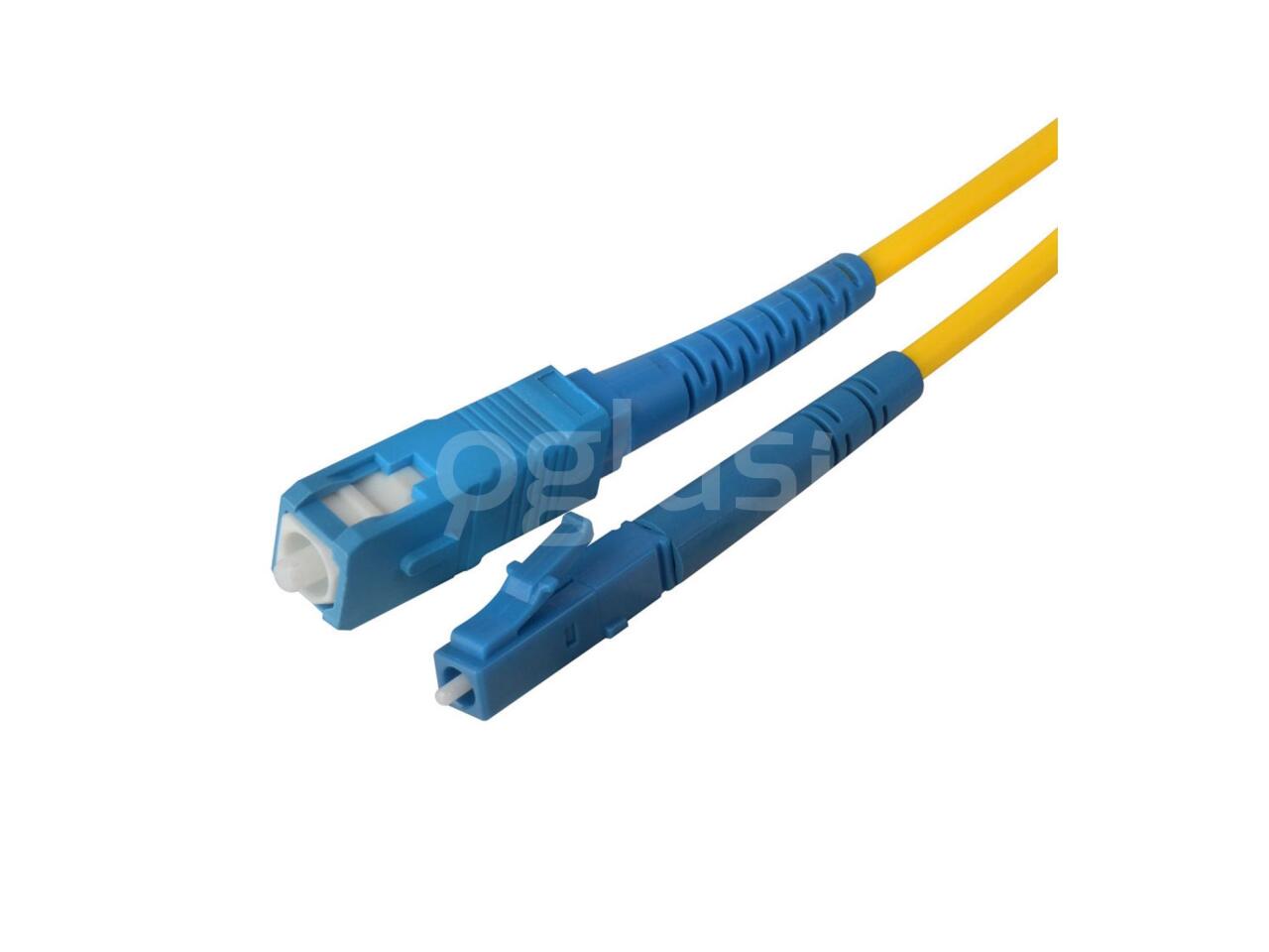 977efc8f2855.jpg