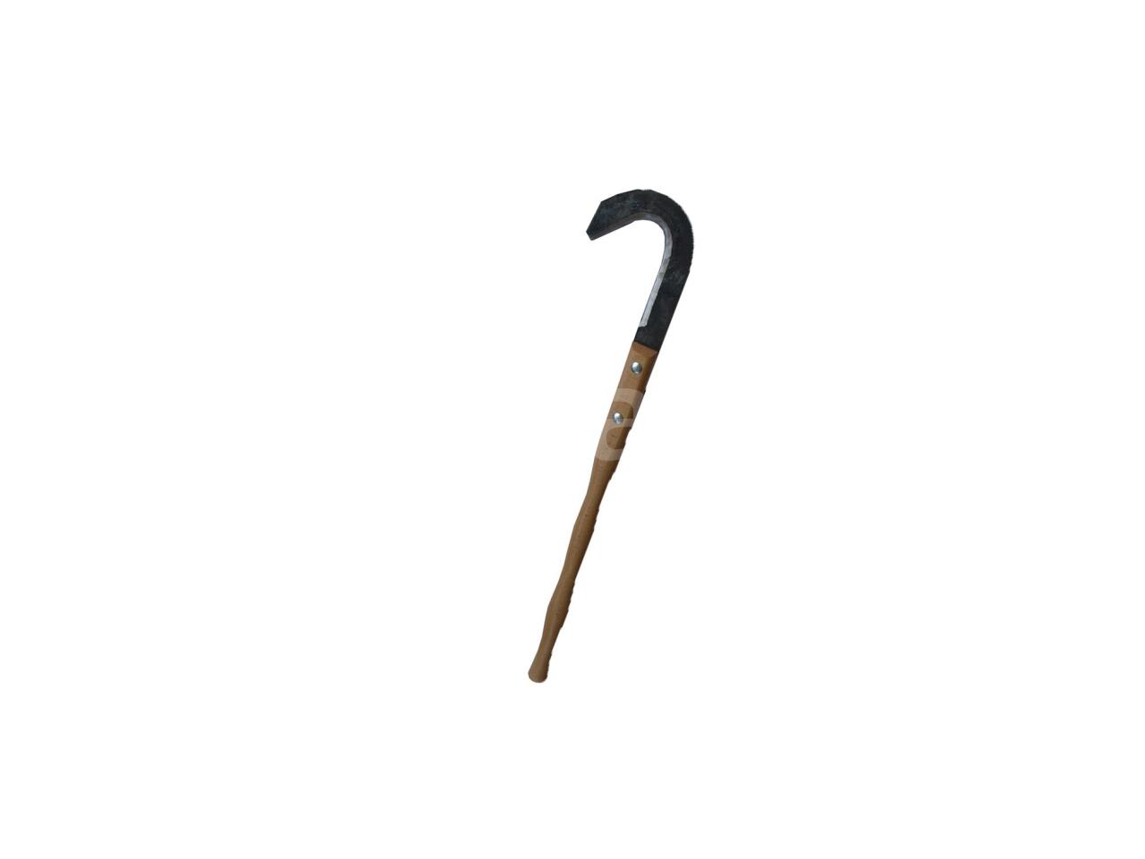 2e47711f7231.jpg