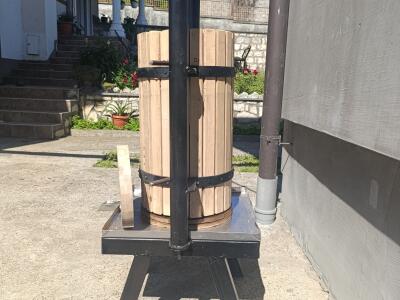 2b4cf65f4209.jpg