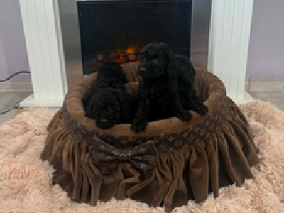 75c2da2b3dd3.png