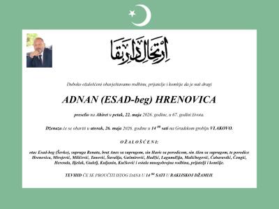 cb3b7a23af92.jpg