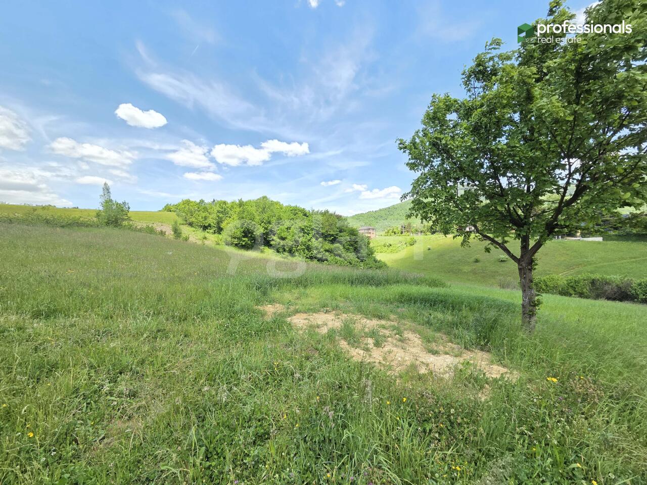 5b56ca05b7fa.jpg