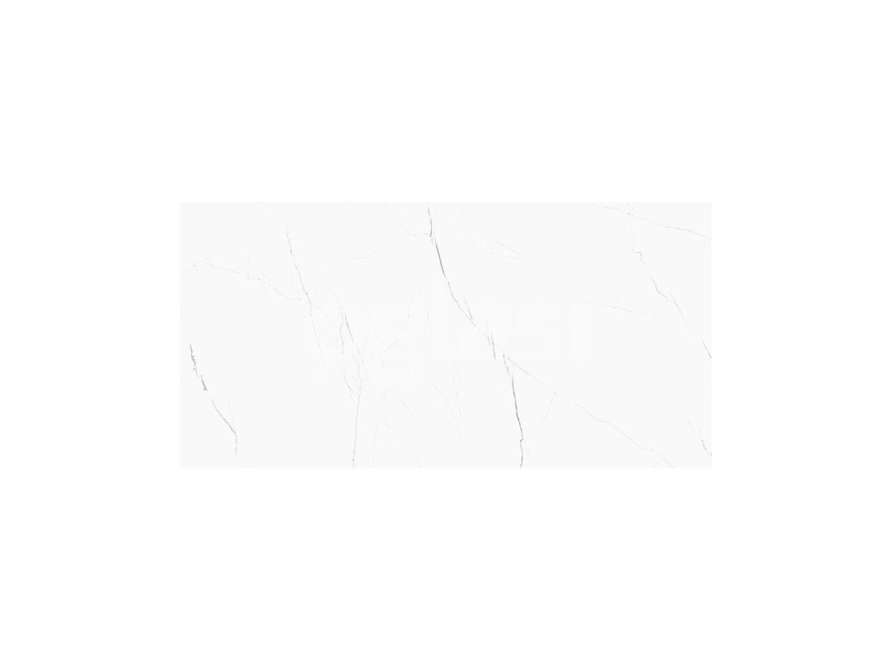 524a17cf999f.jpg