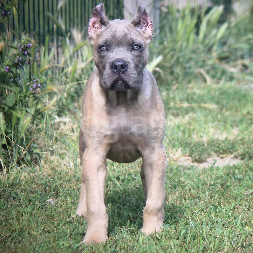 fcf5123276c0.jpg