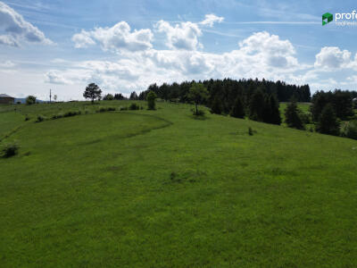 190922b92630.jpg