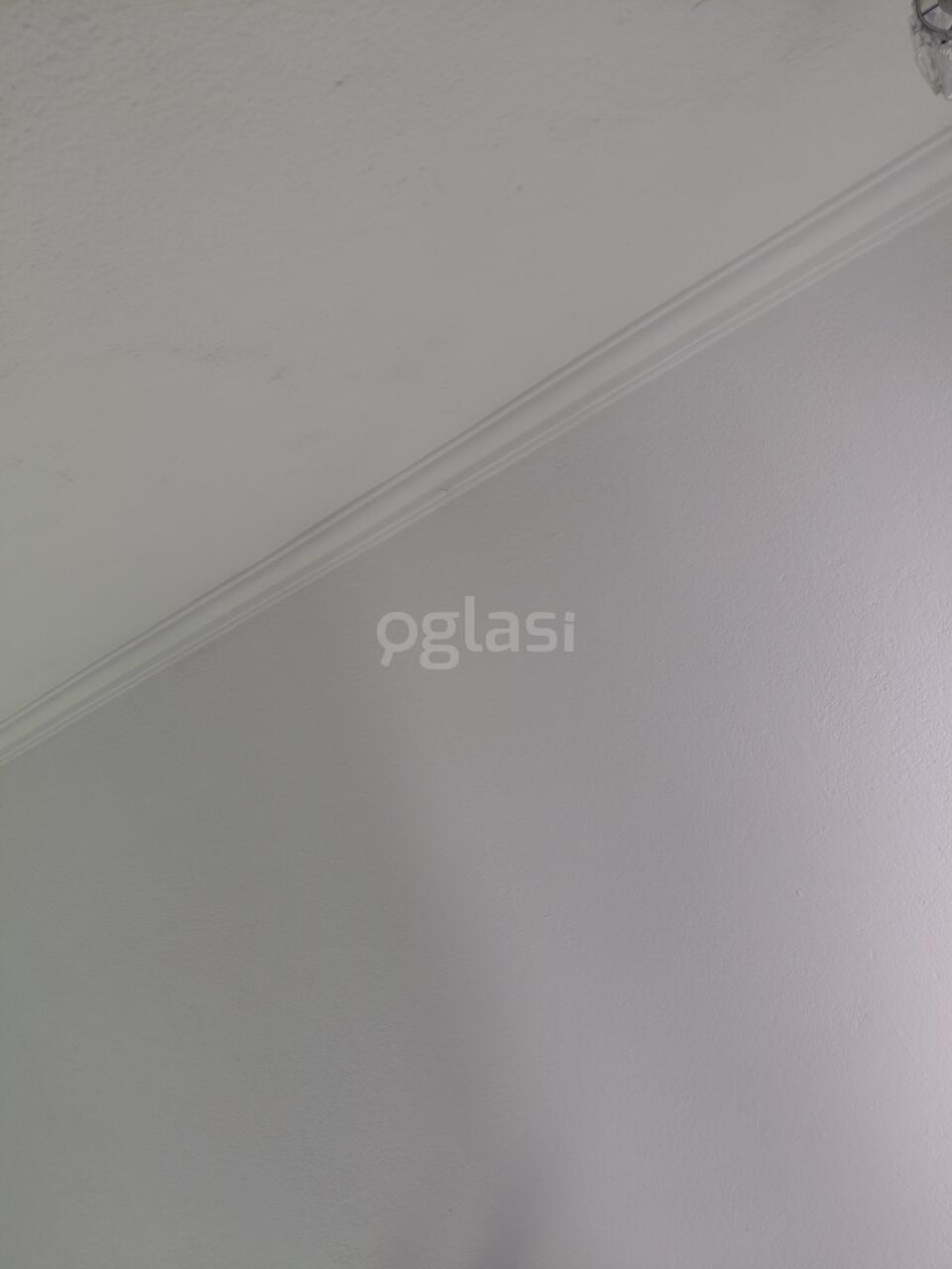 a03f72f4e396.jpg