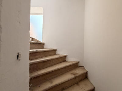 5e0671715dcd.jpg