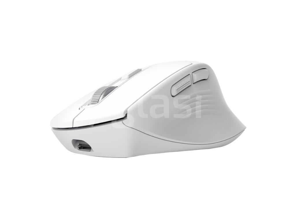 d1047ef712bd.jpg
