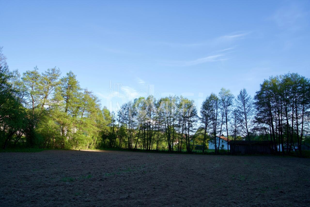 93f28702ffbf.jpg