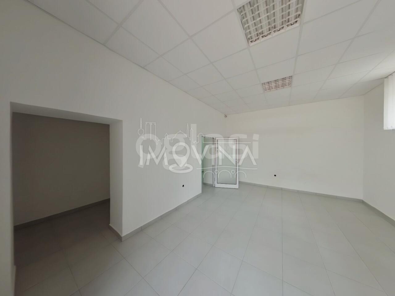 2cdf279fbd77.jpg