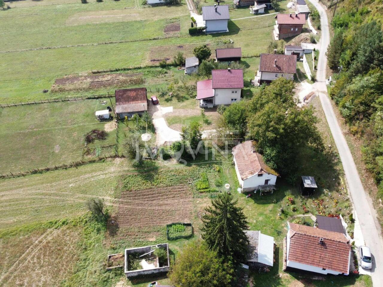 636786855ab7.jpg