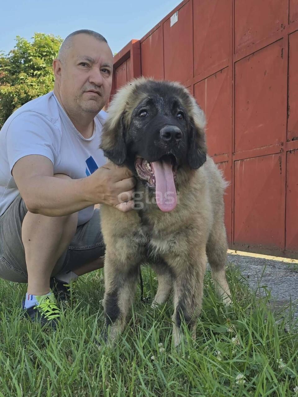 72e311081b23.jpg