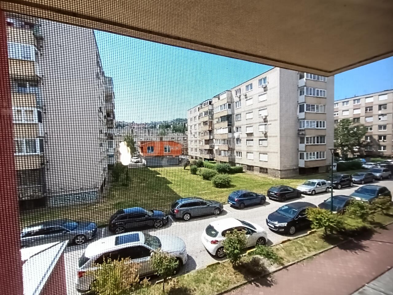 550fd5aaa786.jpg