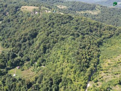 2d765b099ad9.jpg