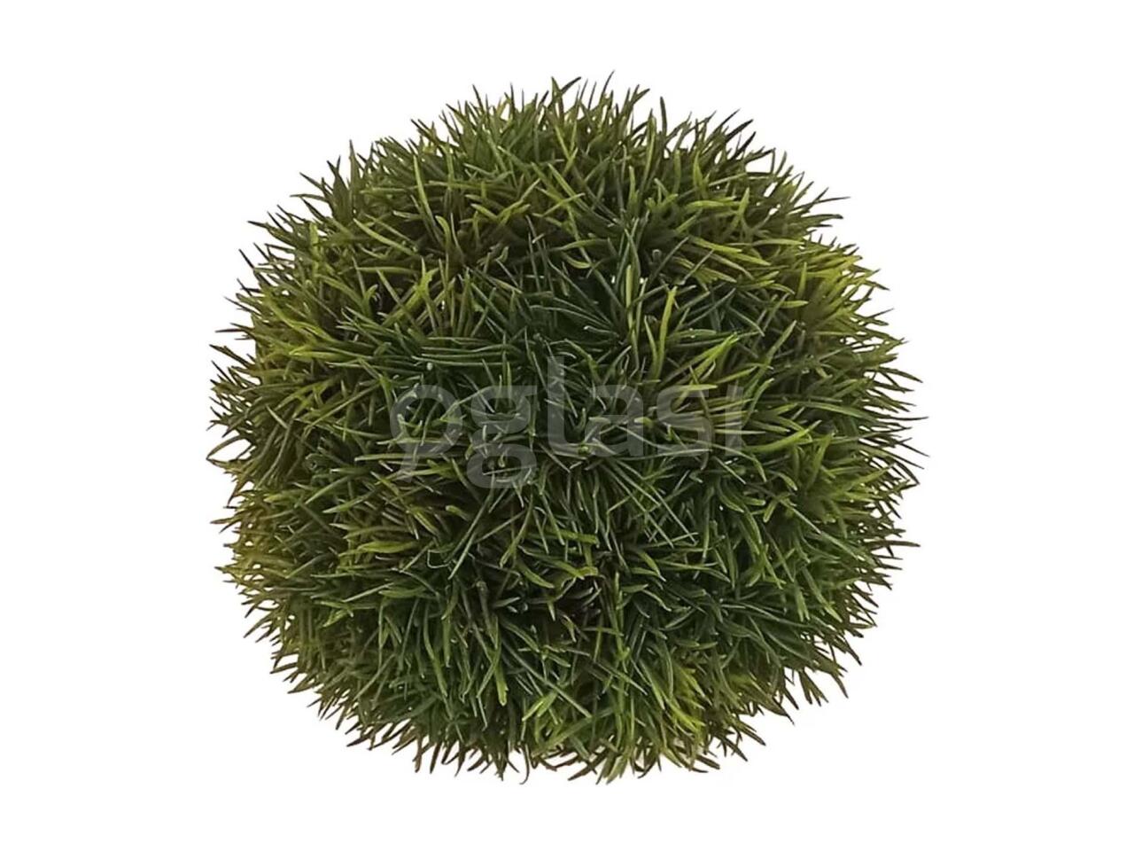 53e701509247.jpg