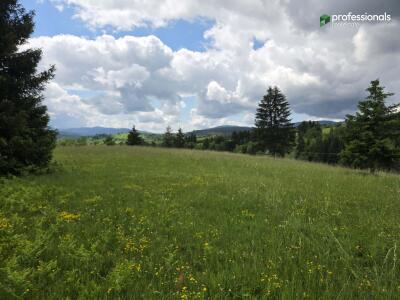 0f55494eccf7.jpg