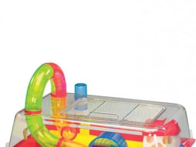 d88ab0638840.jpeg