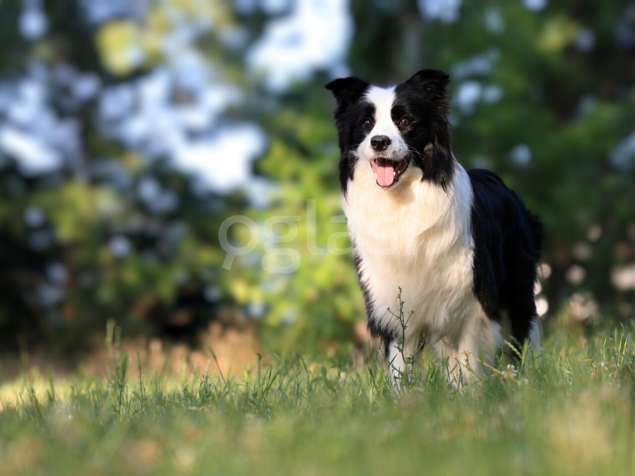 a0d22f267ab4.jpg
