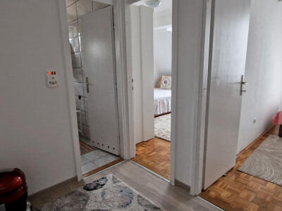 308470ca19cc.jpg