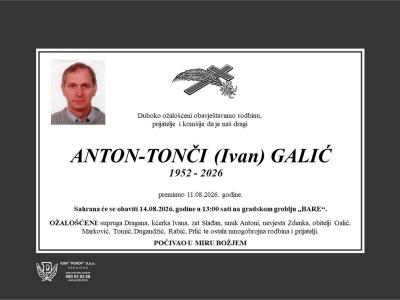 87368d705176.jpg