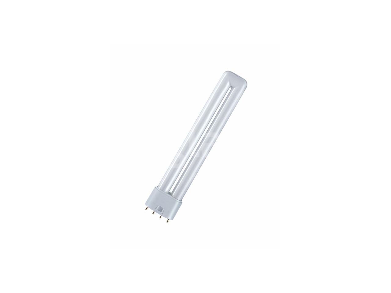 9aff8e4700b6.jpg
