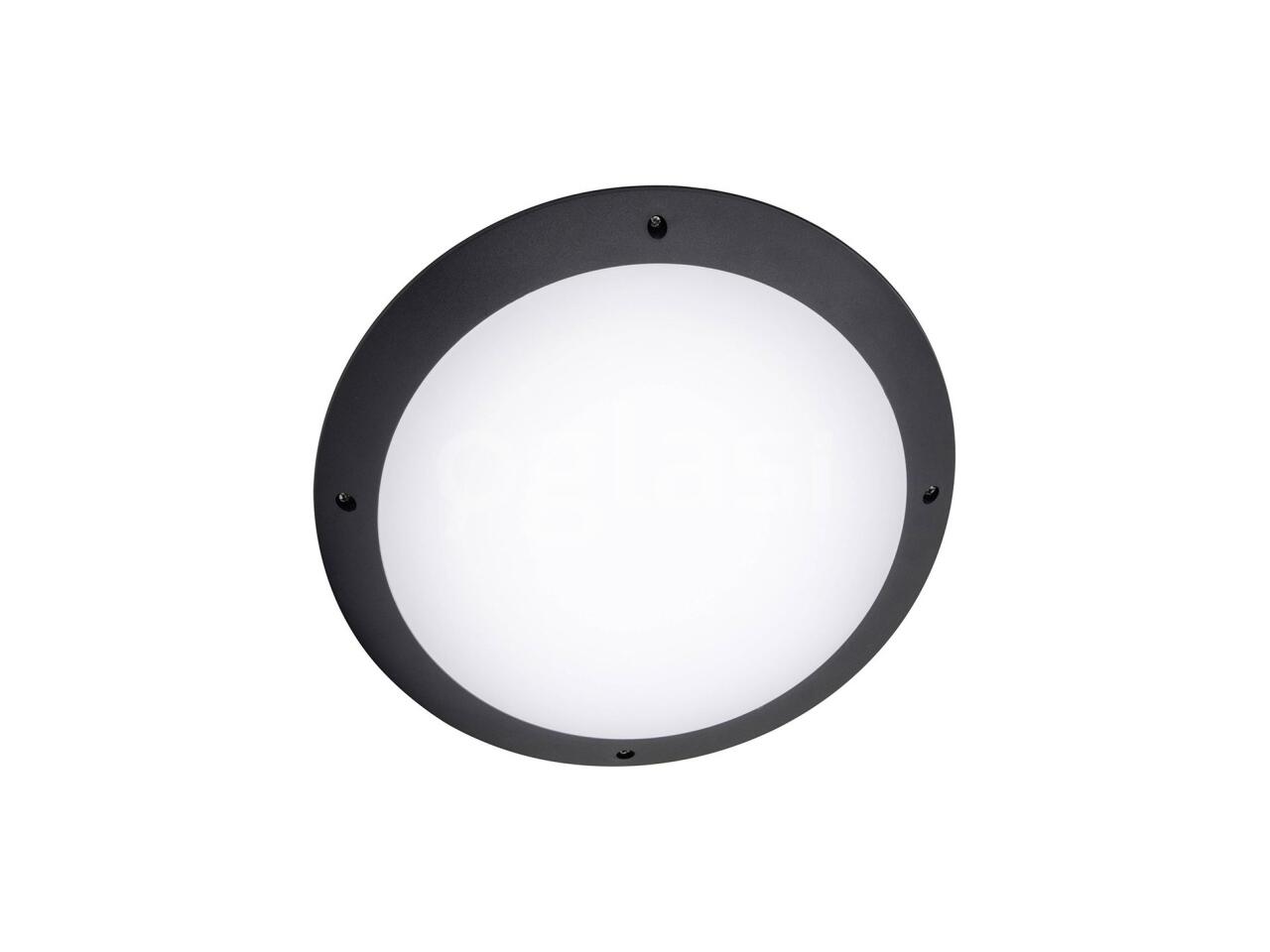 c542970e7ae2.jpg