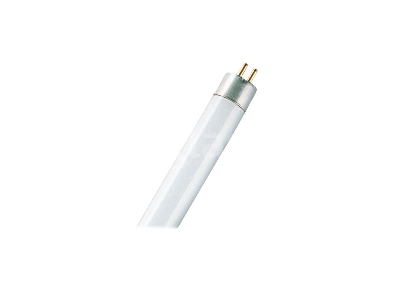 5eca9955ddcb.jpg