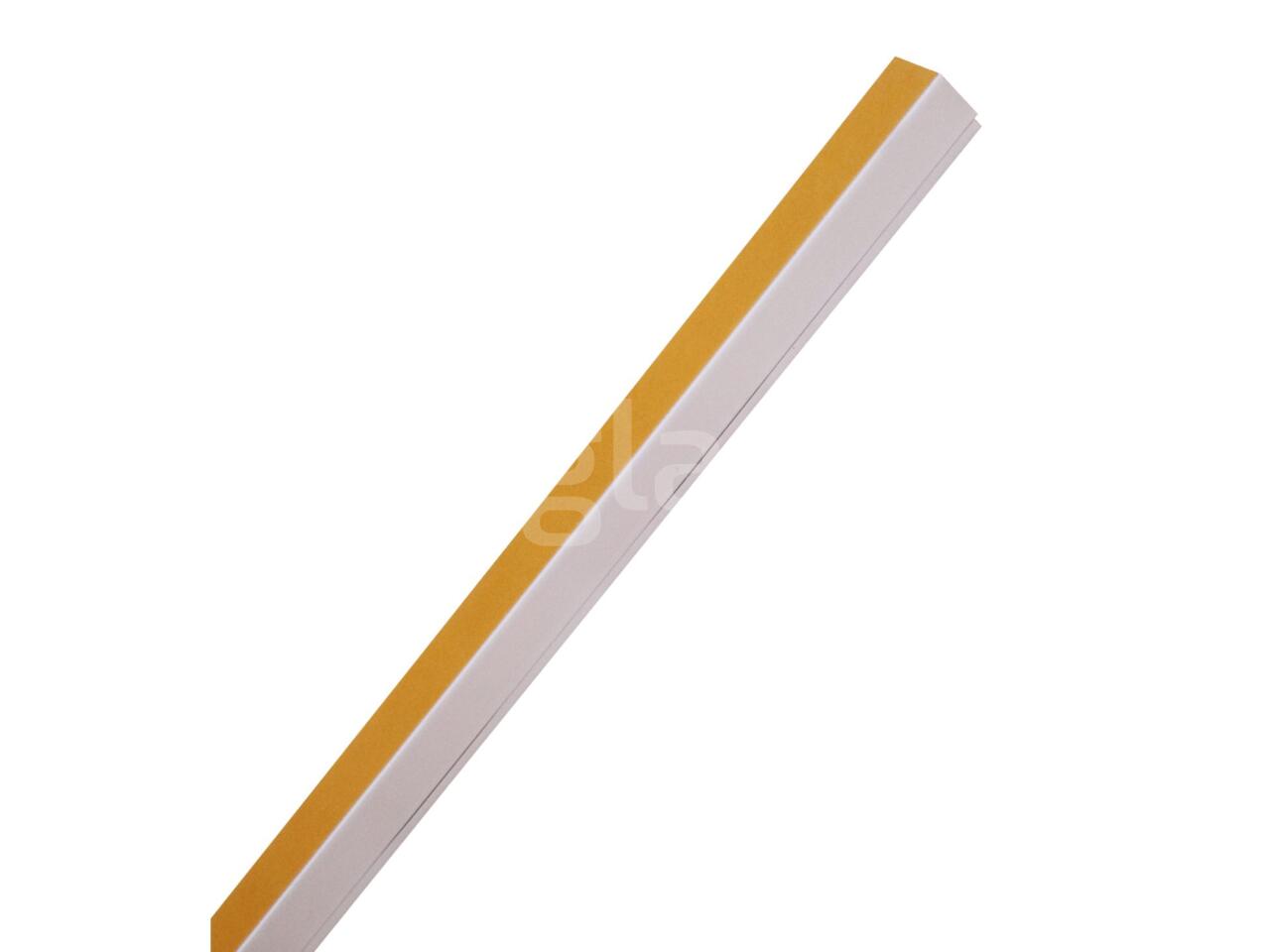 bcbe3bf91e95.jpg