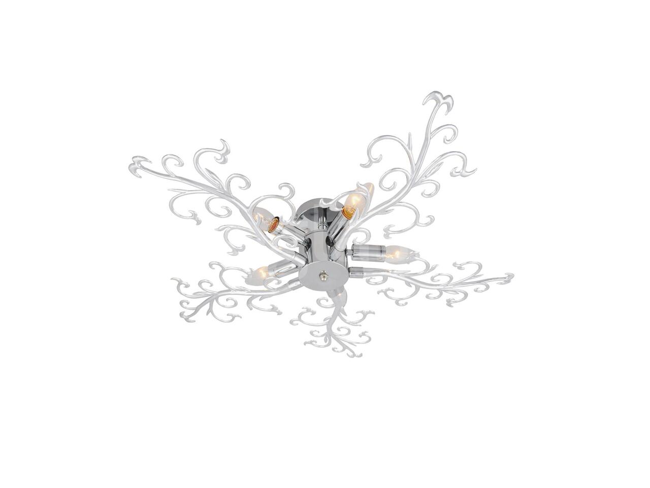 e6036b89adea.jpg