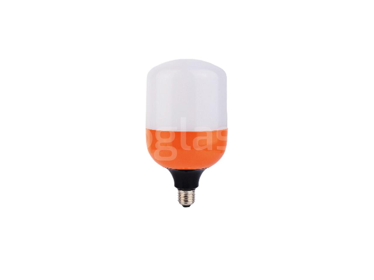 f3d34660ce79.jpg