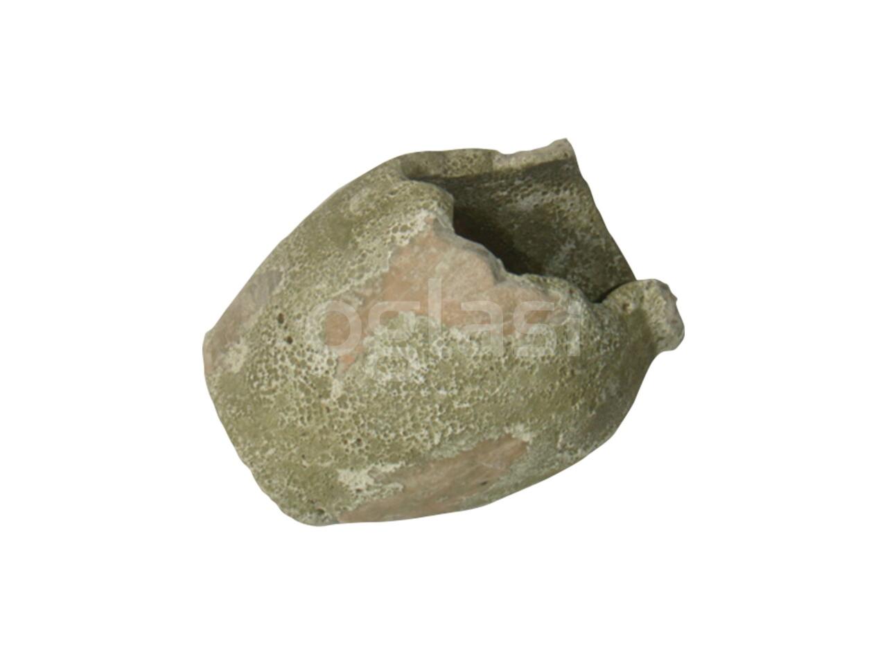 cccbf5988009.jpg