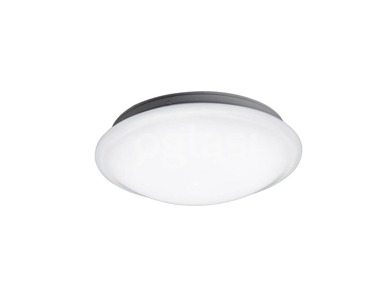 bc8729be9c17.jpg