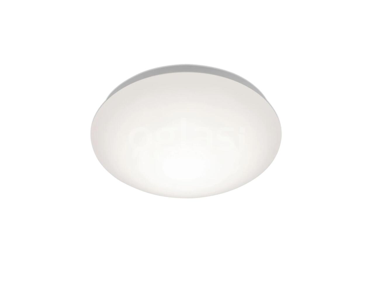 7d34e3e7b1cd.jpg