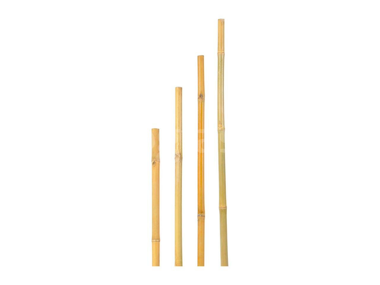 5d2743db41d8.jpg