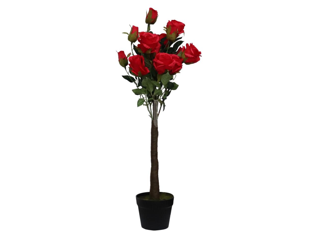 89a0ebd67656.jpg