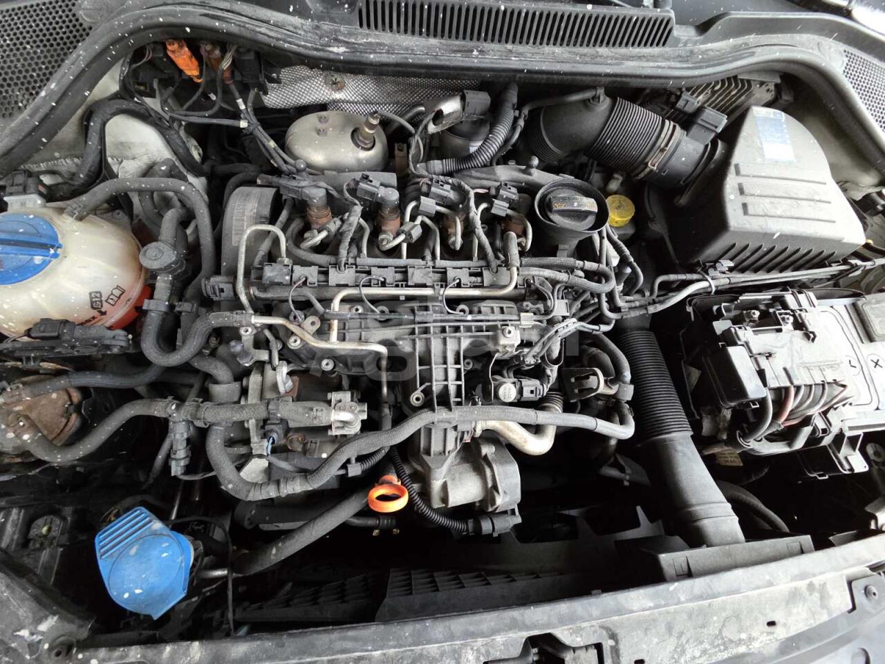 df9962a70779.jpg