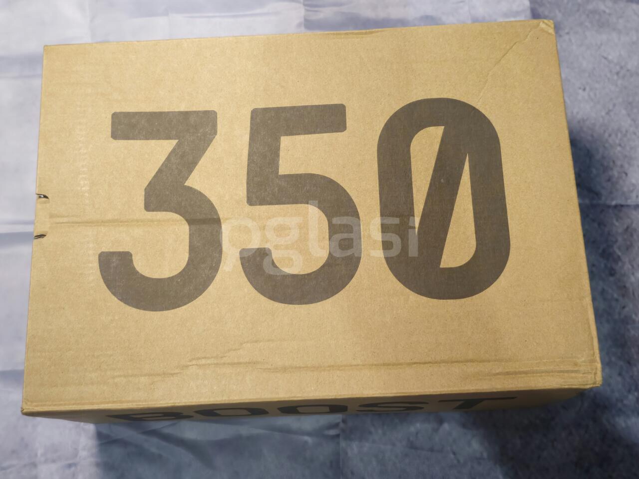 851f632c7dea.jpg