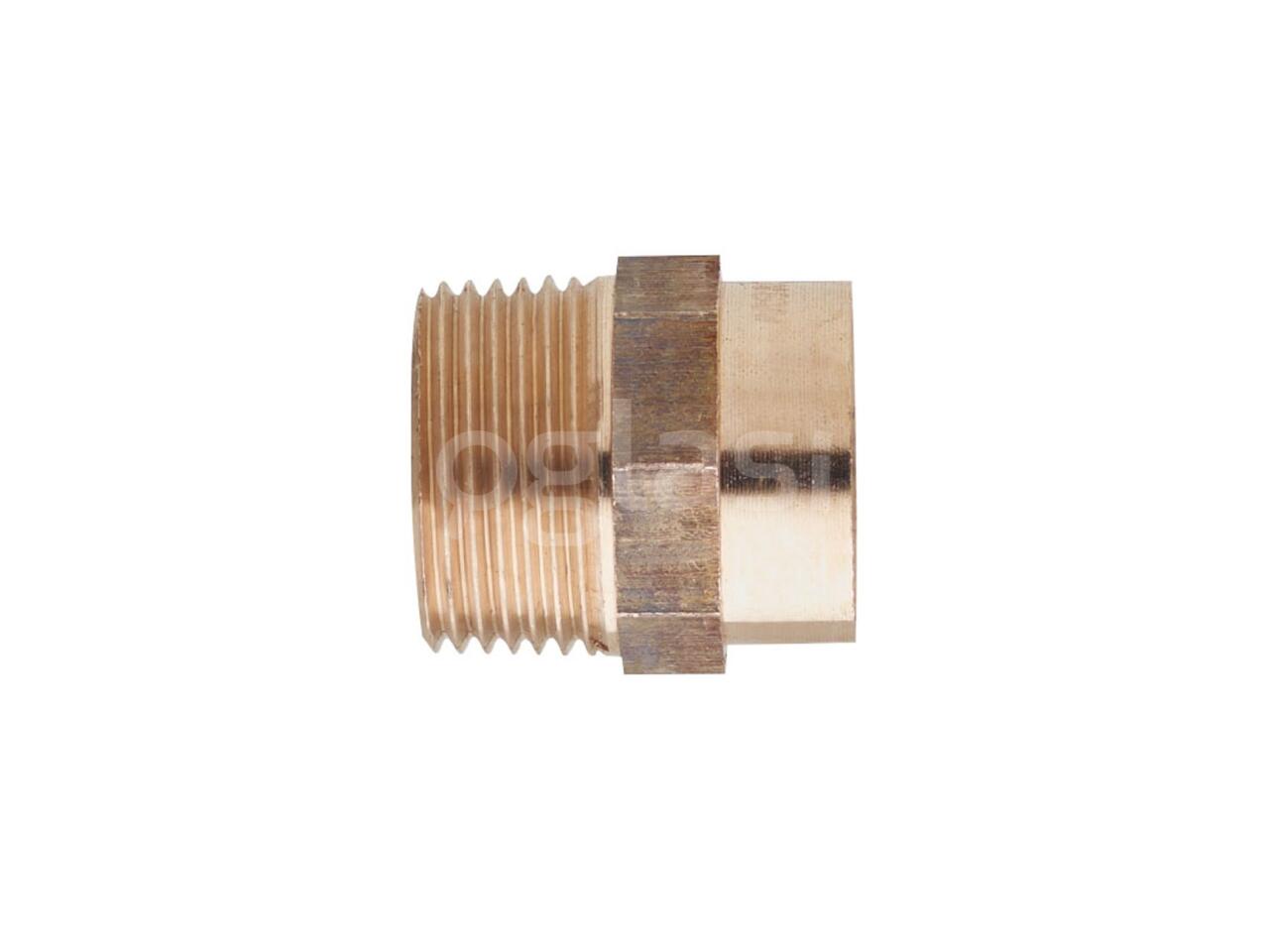 8ce459ce61ae.jpg