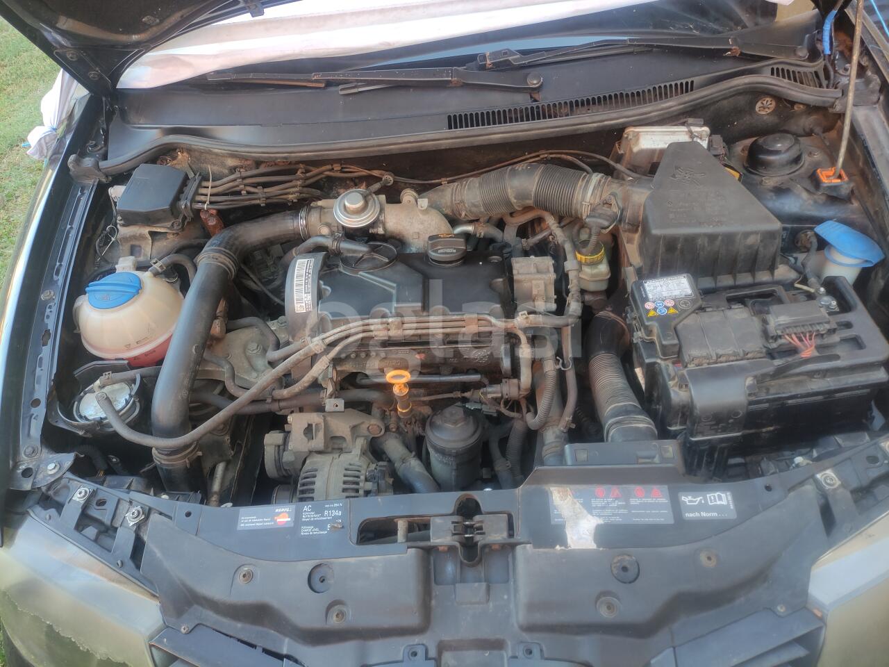 bc9bcc784f63.jpg