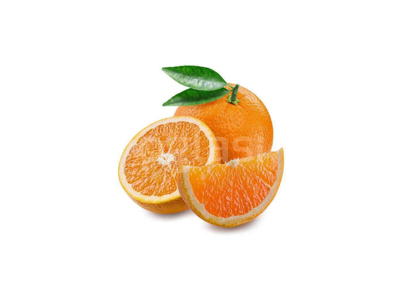 49c44b727290.jpg