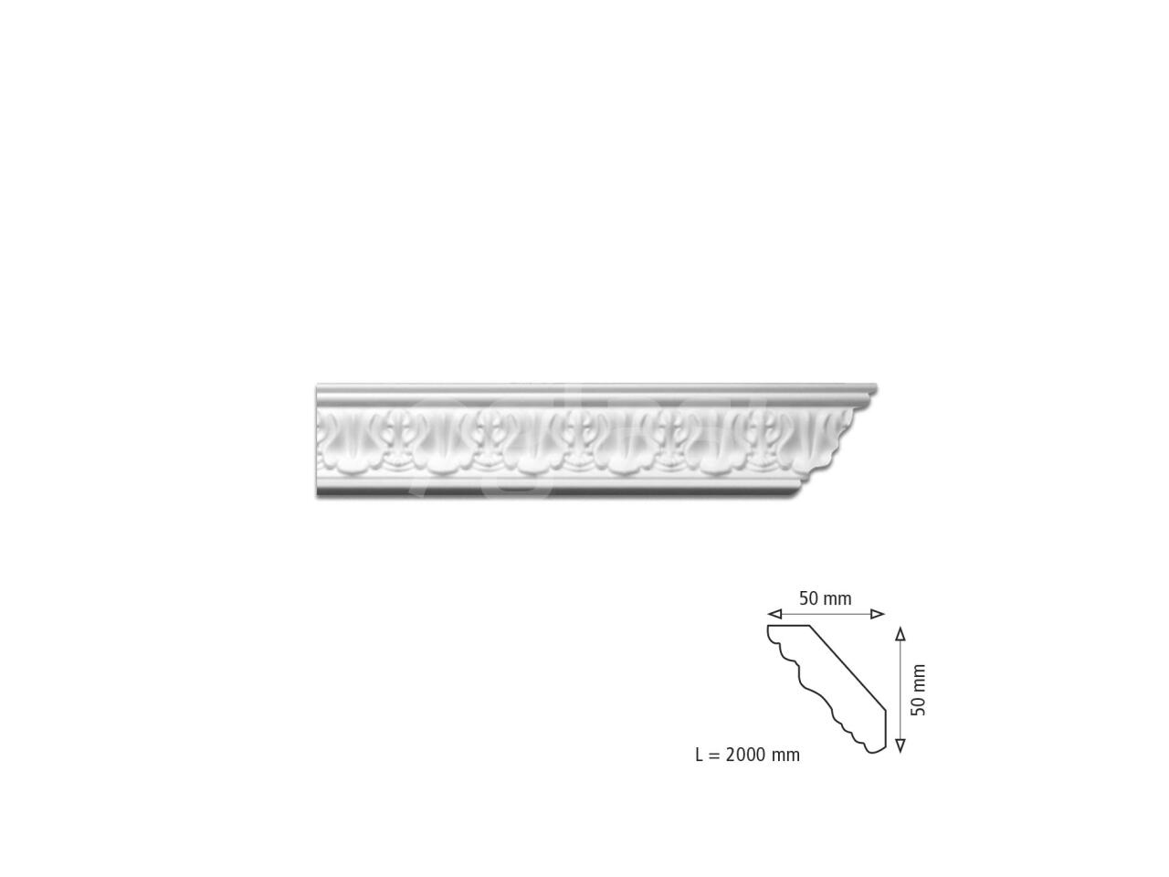 fe9325fd77d3.jpg