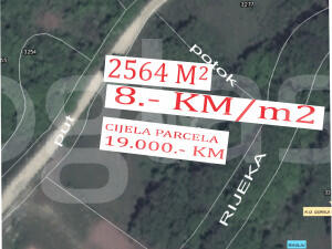 462030eed2d9.jpg