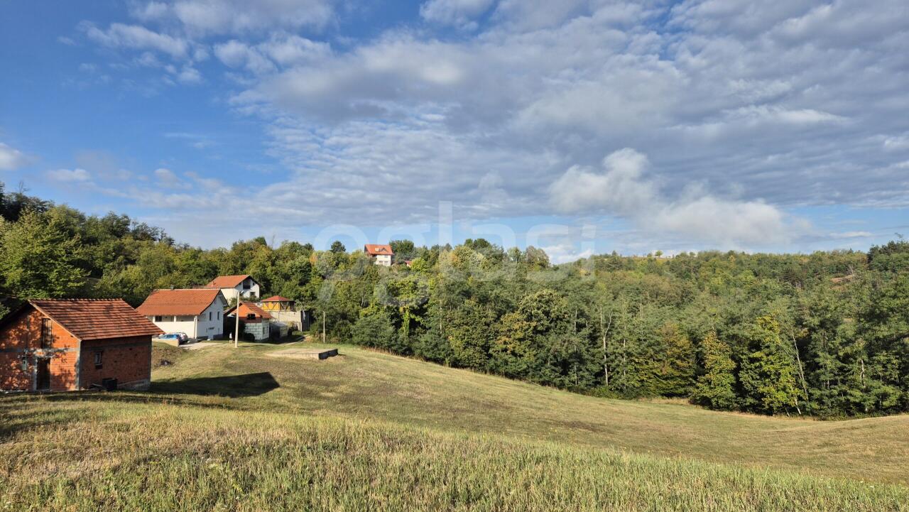 144f381e8800.jpg