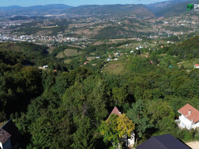e37397327740.jpg