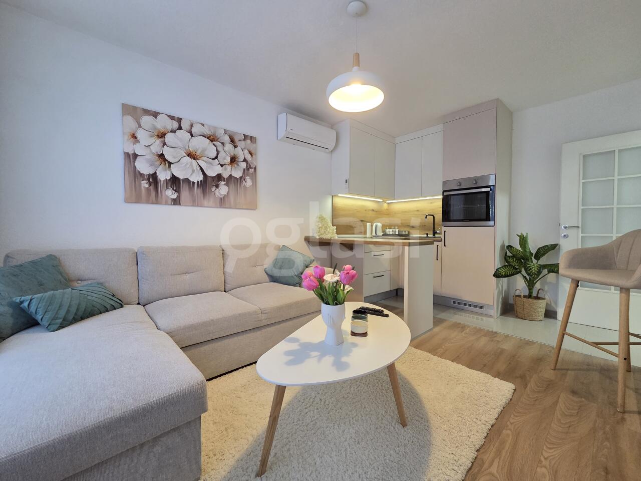 6a26ea952738.jpg