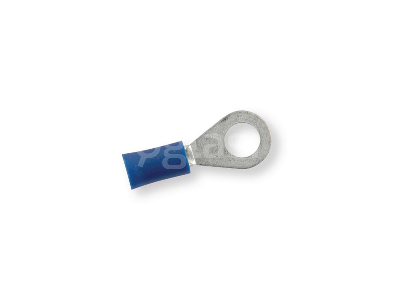 c9be9e8324ab.jpg