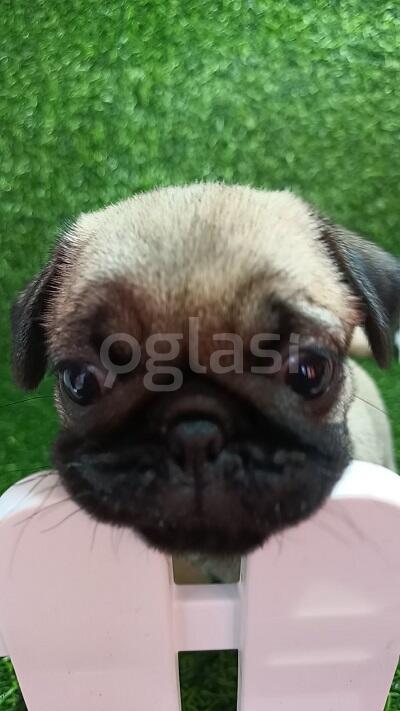 f1cefd13278a.jpg
