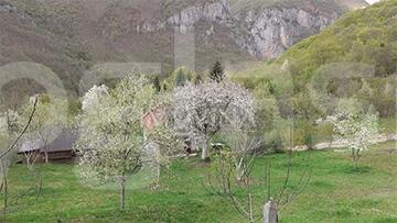 d09213649e23.jpg