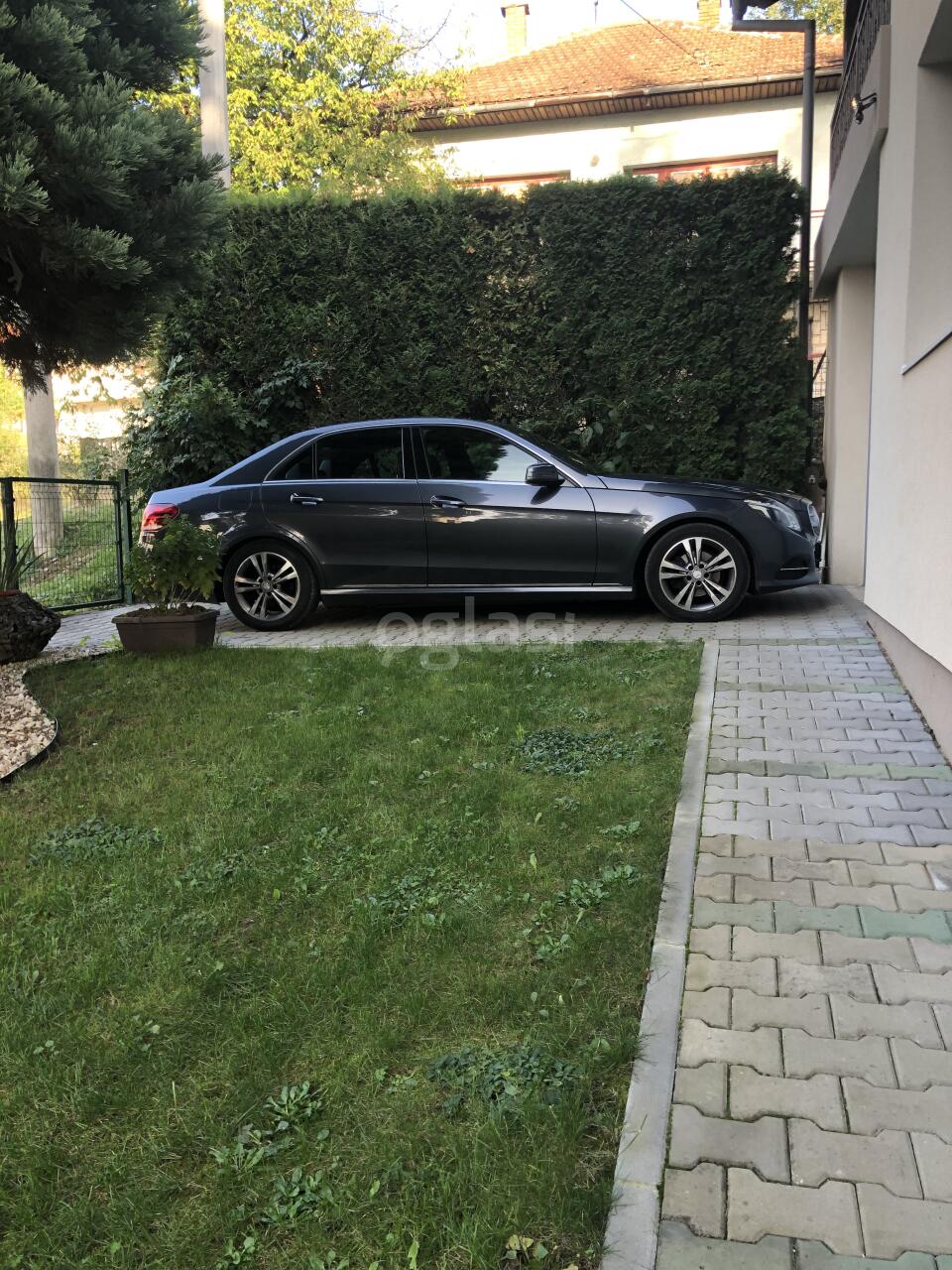 7e448d2a6099.jpeg